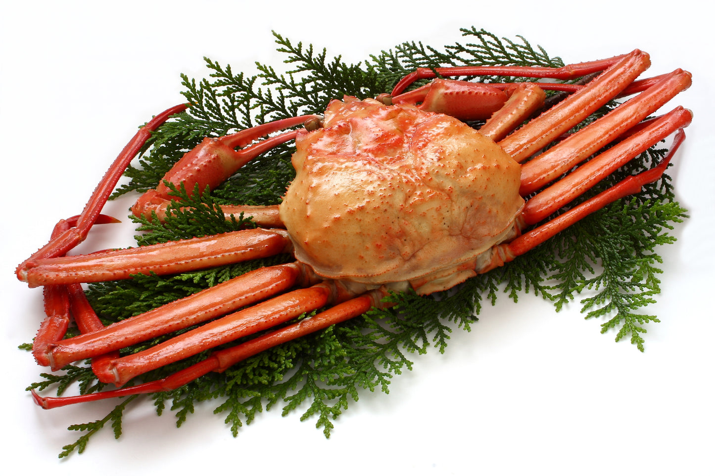 釜茹で紅ずわいがに 400g以上