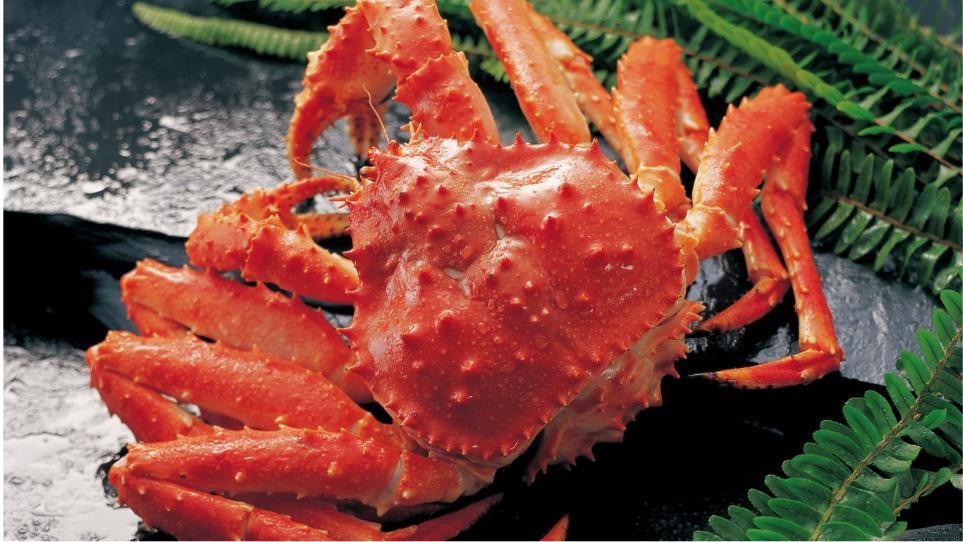 活松葉がに 350グラム以上