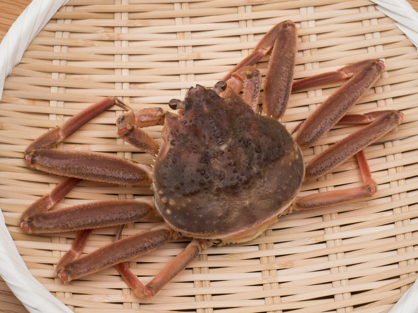 活松葉がに 500g前後