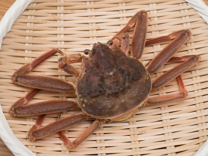 活松葉がに 1kg前後