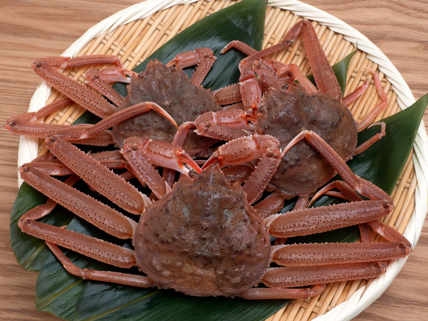 活松葉がに 1kg前後