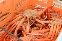 茹で松葉がに 600グラム以上