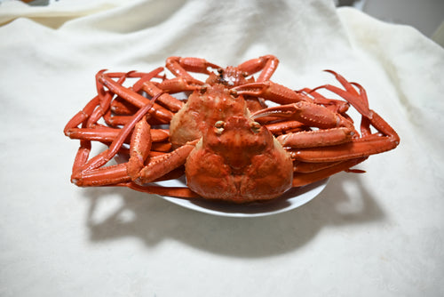 茹で松葉がに 350グラム以上