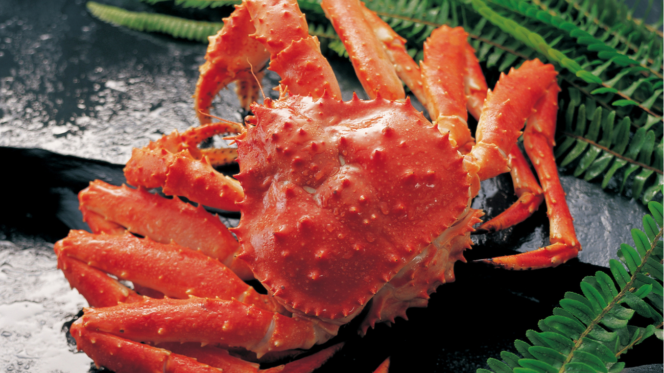 釜茹で紅ズワイガニ 600グラム以上